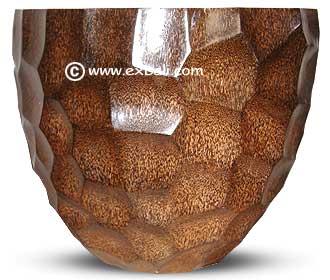 textured Coconut palm pot