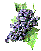 Bali Export Products