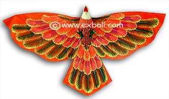 Bird Kite