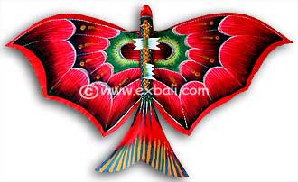 Fish Kite