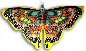 Handmade Butterfly Kites