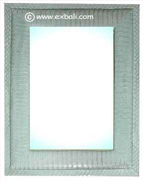 Snake Skin Frame