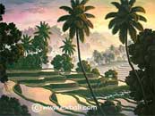 Rice terrace sunset painting