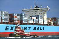 Export Shipping